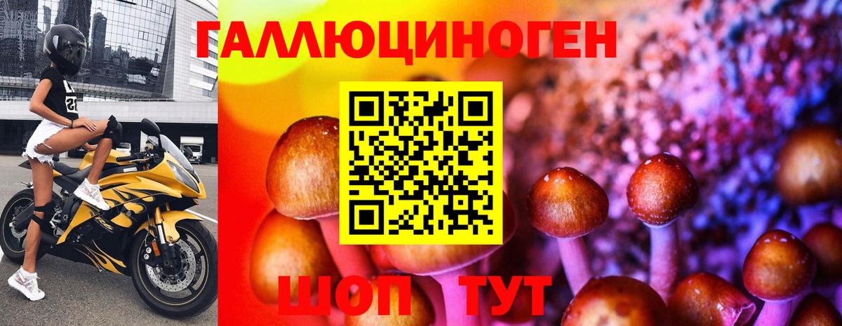 Сокол  Галлюциногенные грибы Cubensis  Вход с VPN 