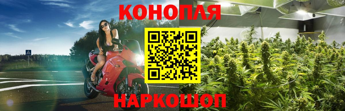 Канабис White Widow Сокол
