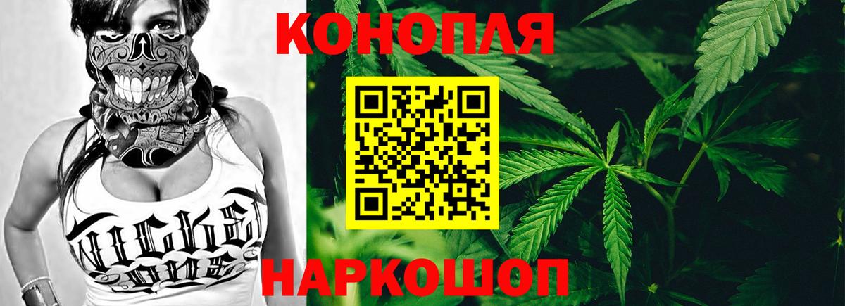 Бошки марихуана план  Бошки Шишки семена  Вход с VPN  Канабис планчик  Сокол  Канабис семена 
